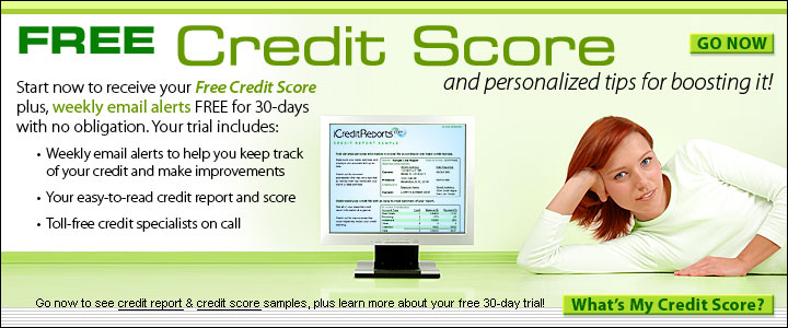 Credit Report 800