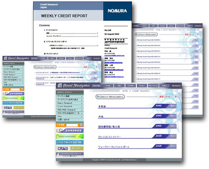 Ccis Credit Report